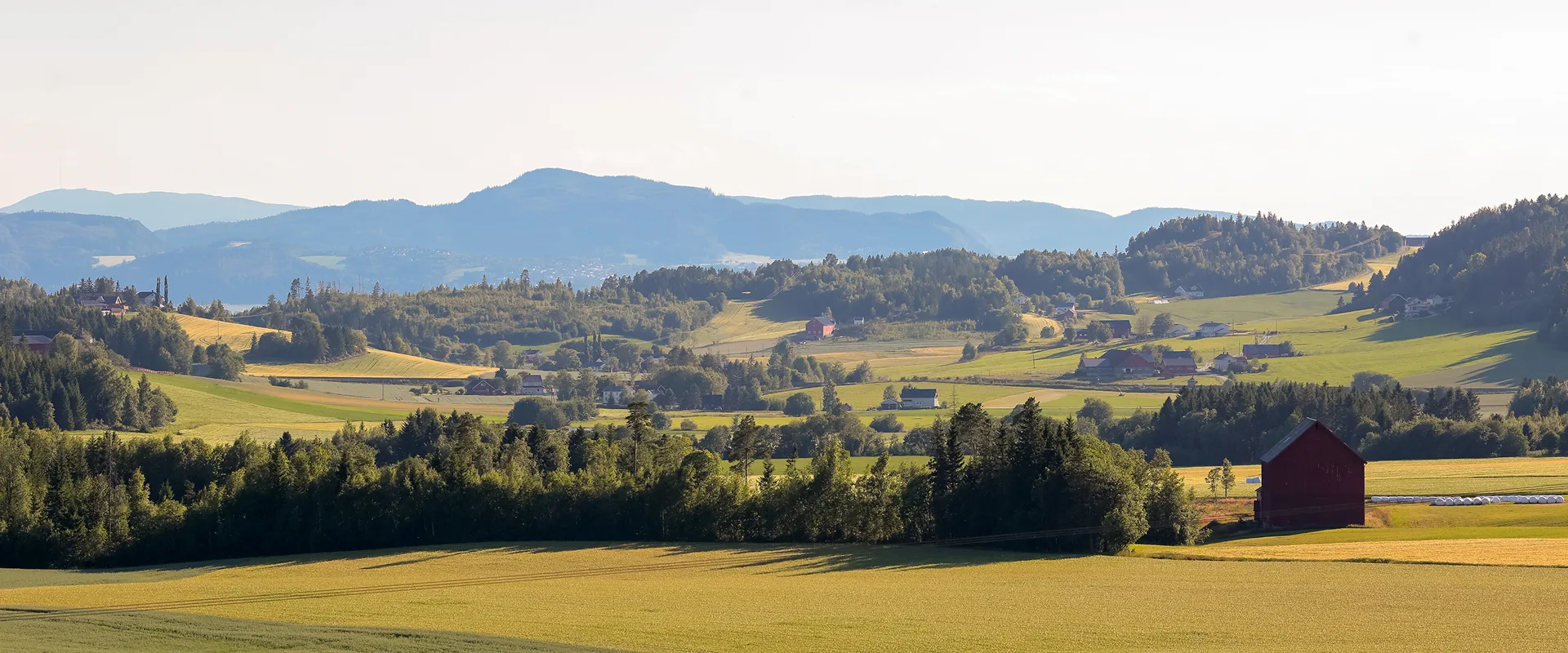 Norsøk (Norsk senter for økologisk landbruk) - ecological knowledge for agriculture and society Norsøk (Norsk senter for økologisk landbruk) - ecological knowledge for agriculture and society