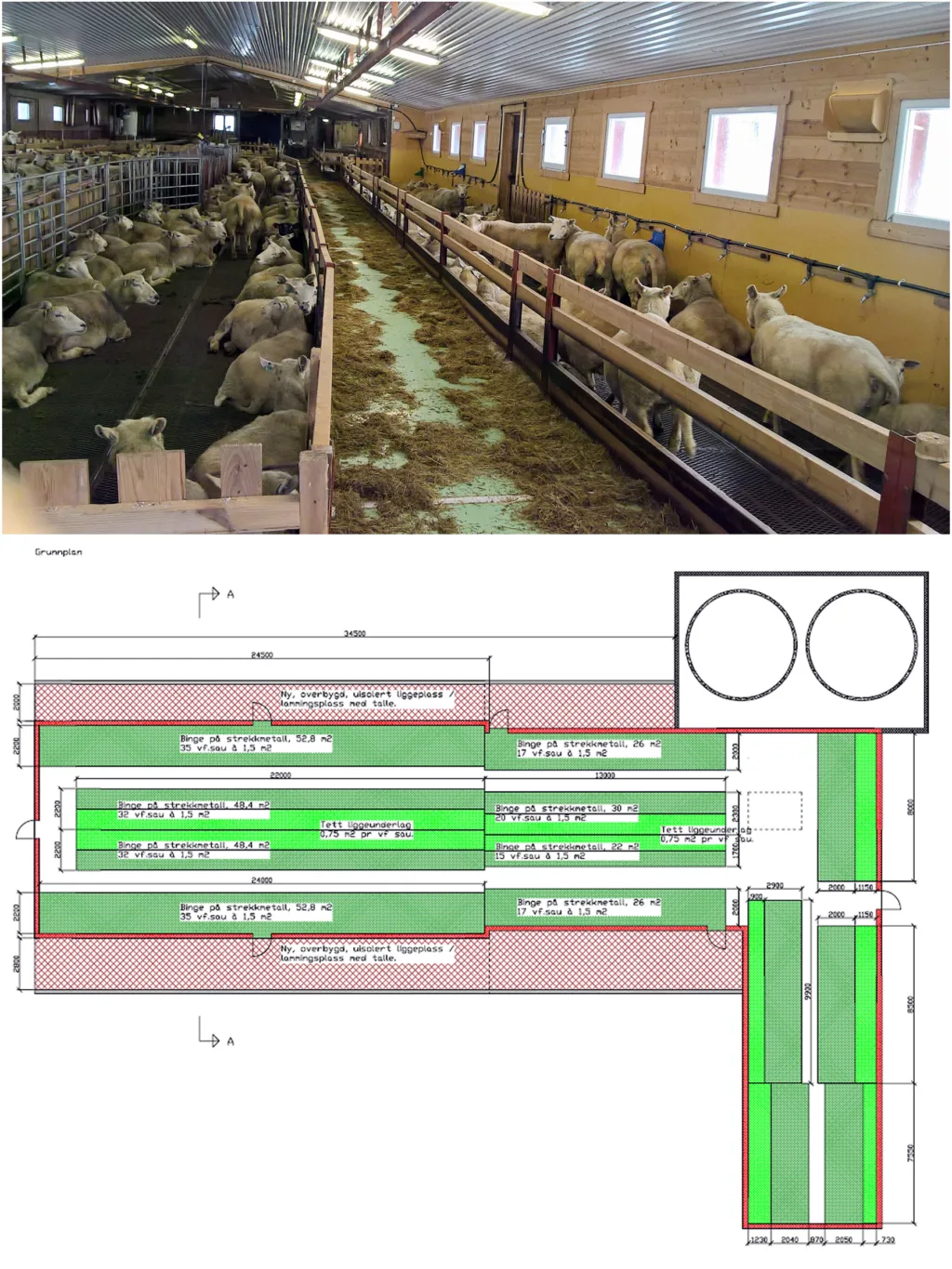 Løsning For 280 Vinterfora Sau Løsning For 280 Vinterfora Sau (Foto: Kristin Sørheim, Tegning: Knut Hagen)