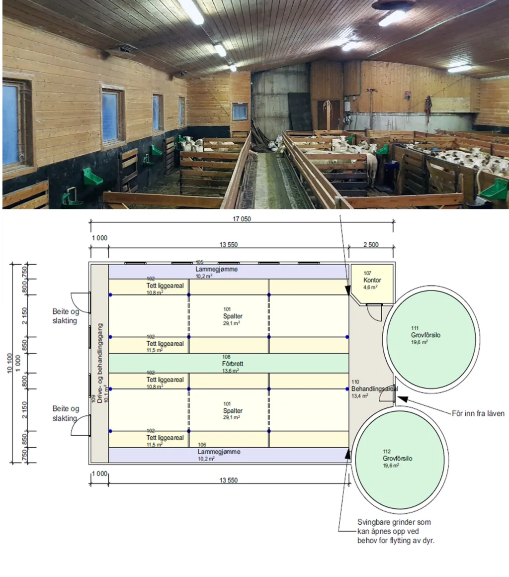 Løsning 52 Vinterfora1 Løsning 52 Vinterfora1 (Foto: Joacim Laurendz. Tegning Alf Gunnar Nøkland)