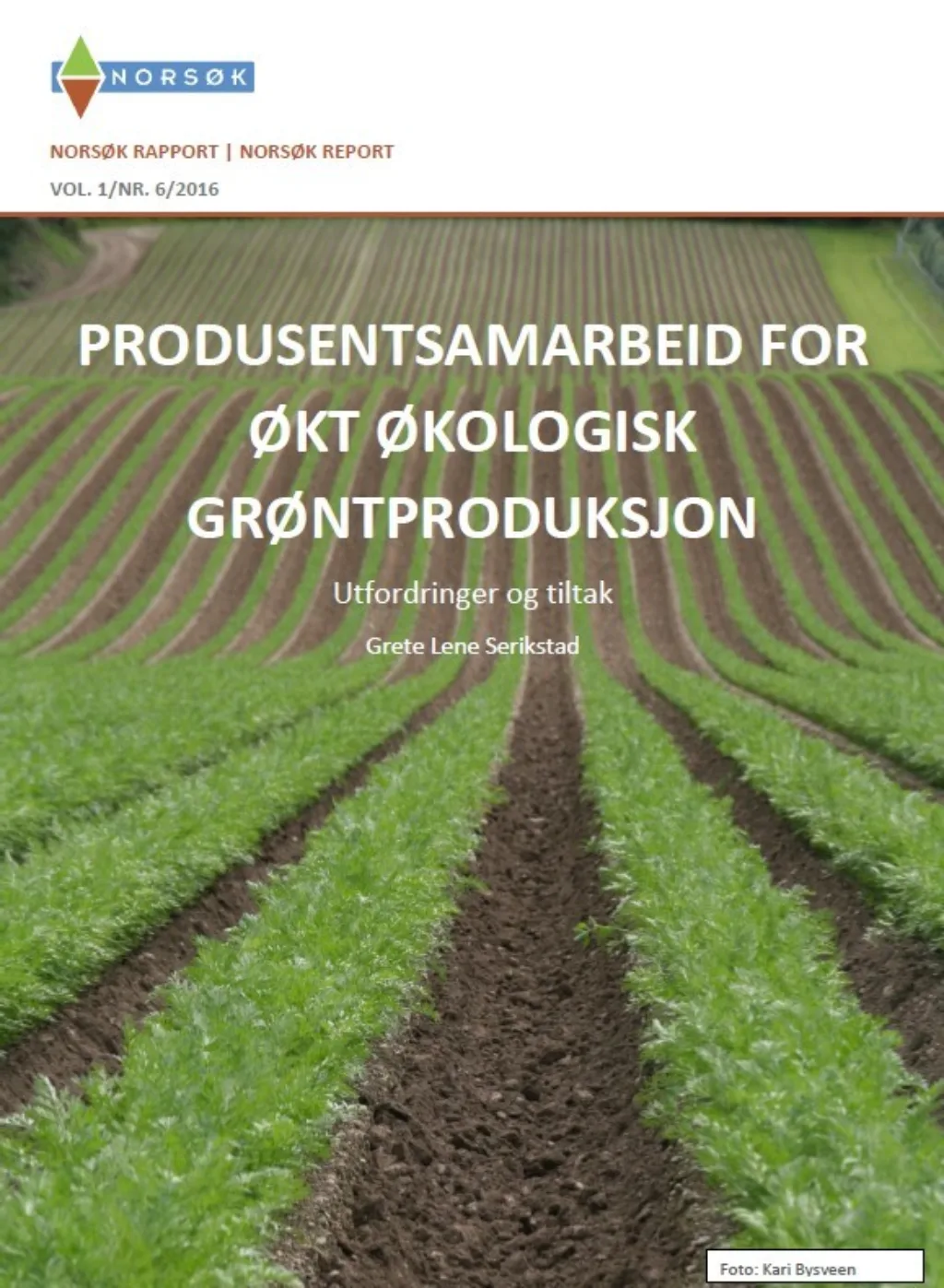 Rapport Produsentsamarbeid Rapport Produsentsamarbeid