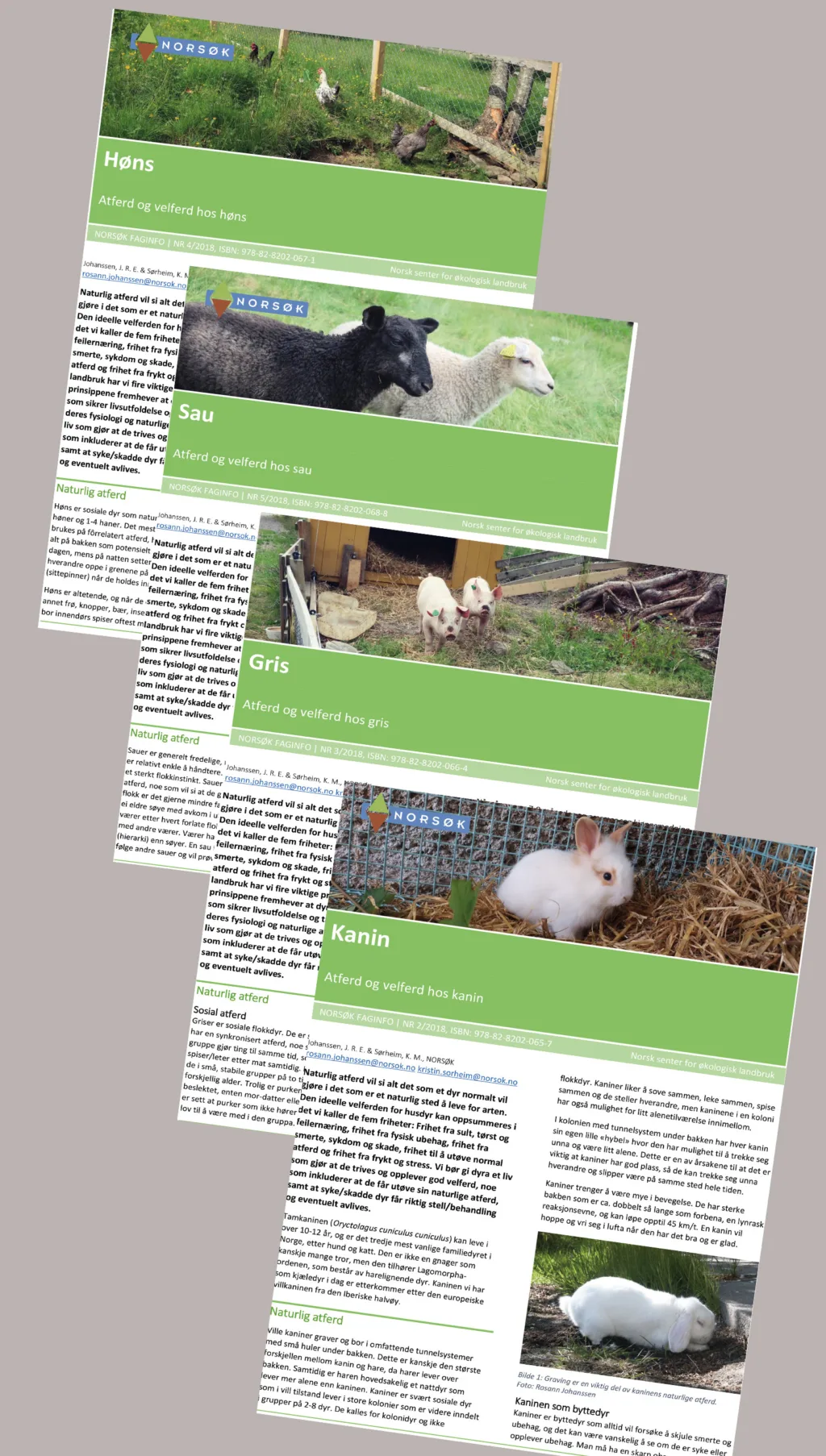 Faginfo Dyrevelferd Faginfo Dyrevelferd