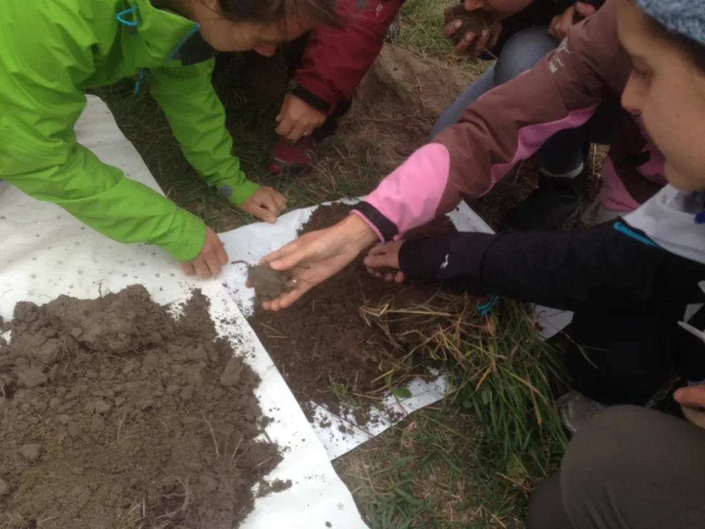 2019 02 26 Jordlappen Trinn 2 Konklusjon 2019 02 26 Jordlappen Trinn 2 Konklusjon