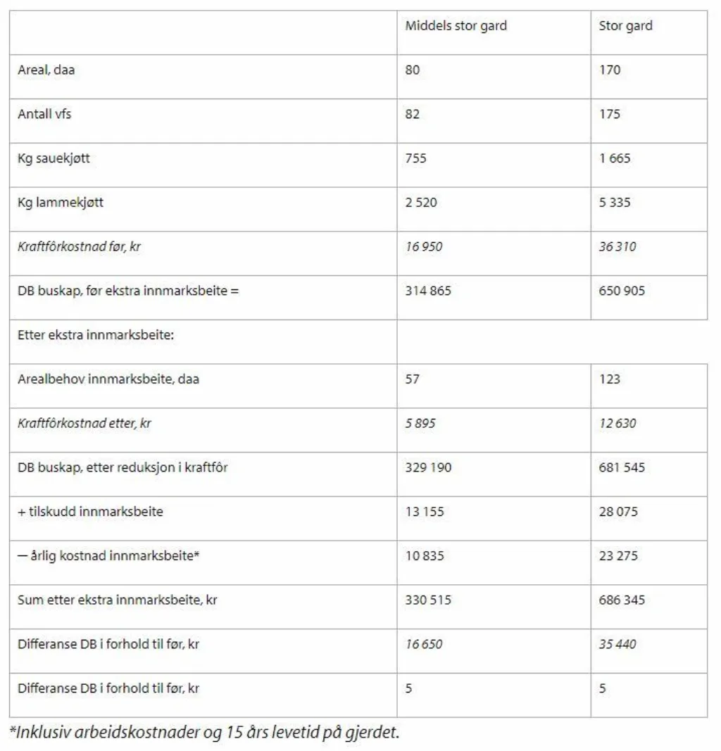 Tabell Økonimi I Sauehold Me Tabell Økonimi I Sauehold Me
