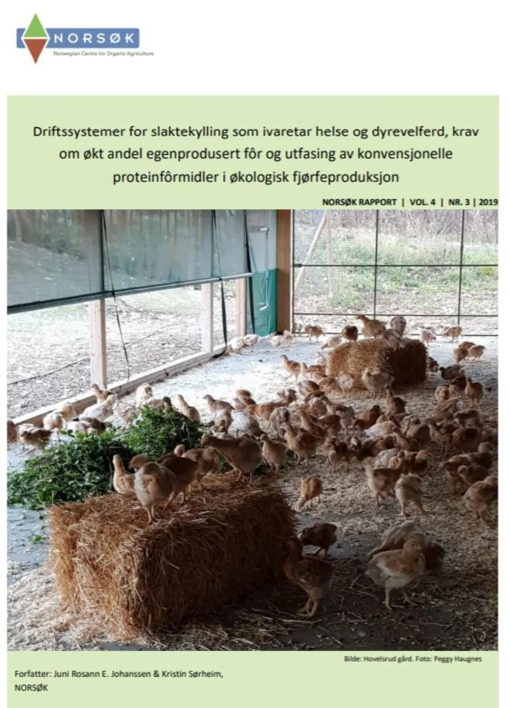 Rapport Slaktekylling Rapport Slaktekylling