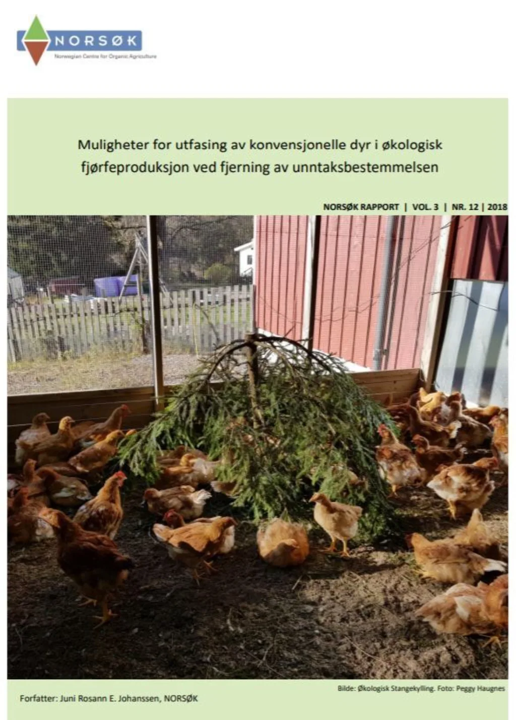 Utfasing Av Konvensjonelt For Rapport Utfasing Av Konvensjonelt For Rapport