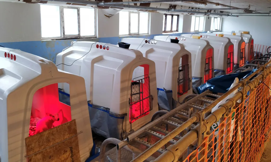 Forsøk Barkcure Foto Jrj Forsøk Barkcure Foto Jrj (Foto: Rosann Johanssen)