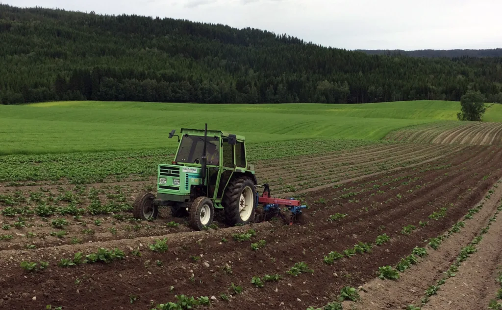 Ugraskontroll Og Hypping Av Potet Ugraskontroll og hypping av potet. (Foto: Anne-Kristin Løes)