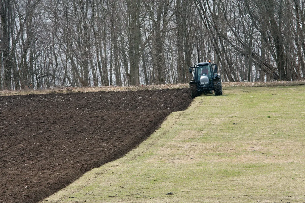 Pløying Foto Anita Land Naken jord øker faren for nitrat-utvasking betydelig, spesielt om det etterfølges av nedbørrike perioder uten plantevekst. (Foto: Anita Land)