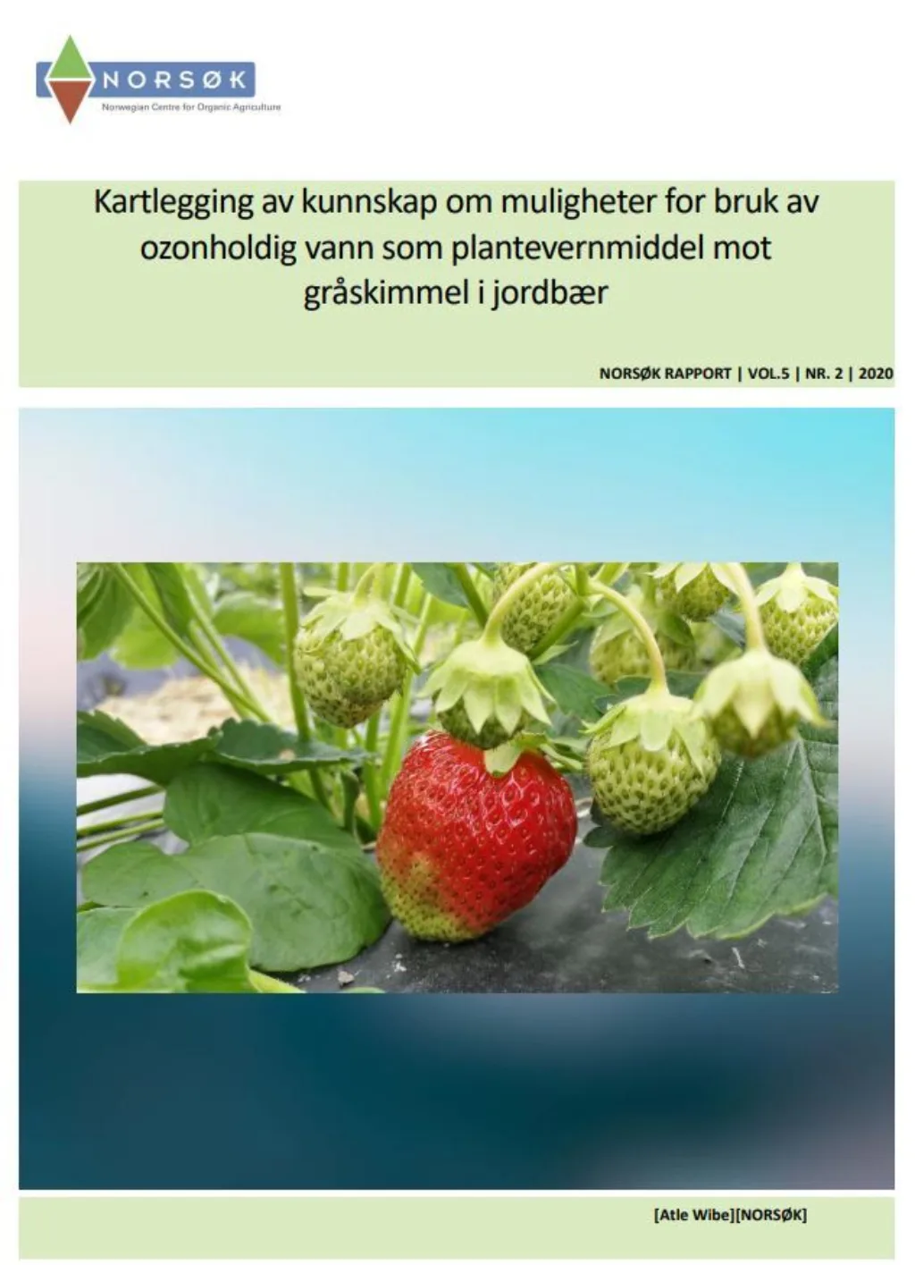 Ozonrapport 2 Ozonrapport 2