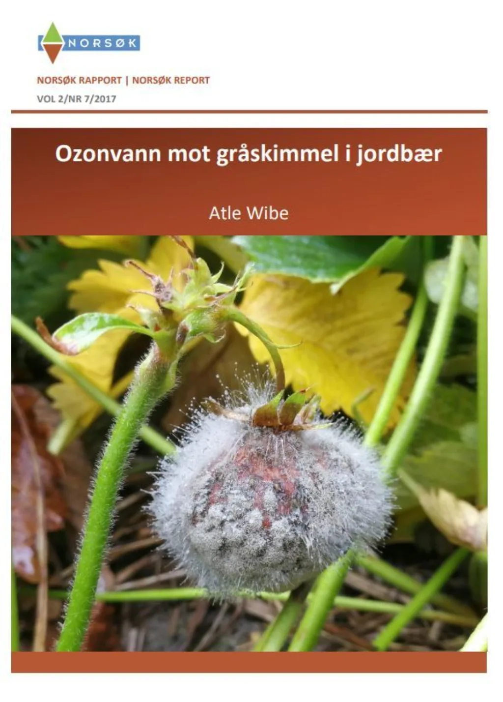 Ozonrapport Ozonrapport