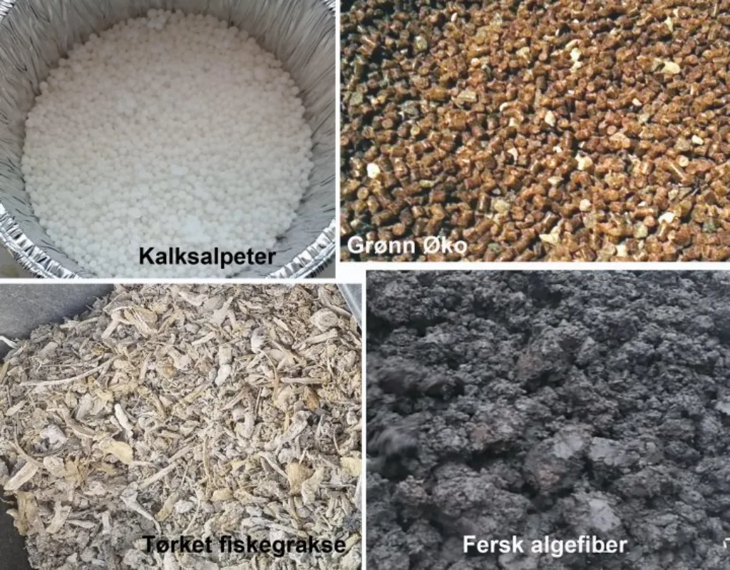 Bilde 2 Gjødseltypene (Foto: Ishita Ahuja, Anne de Boer og Sigbjørn Drøpping)