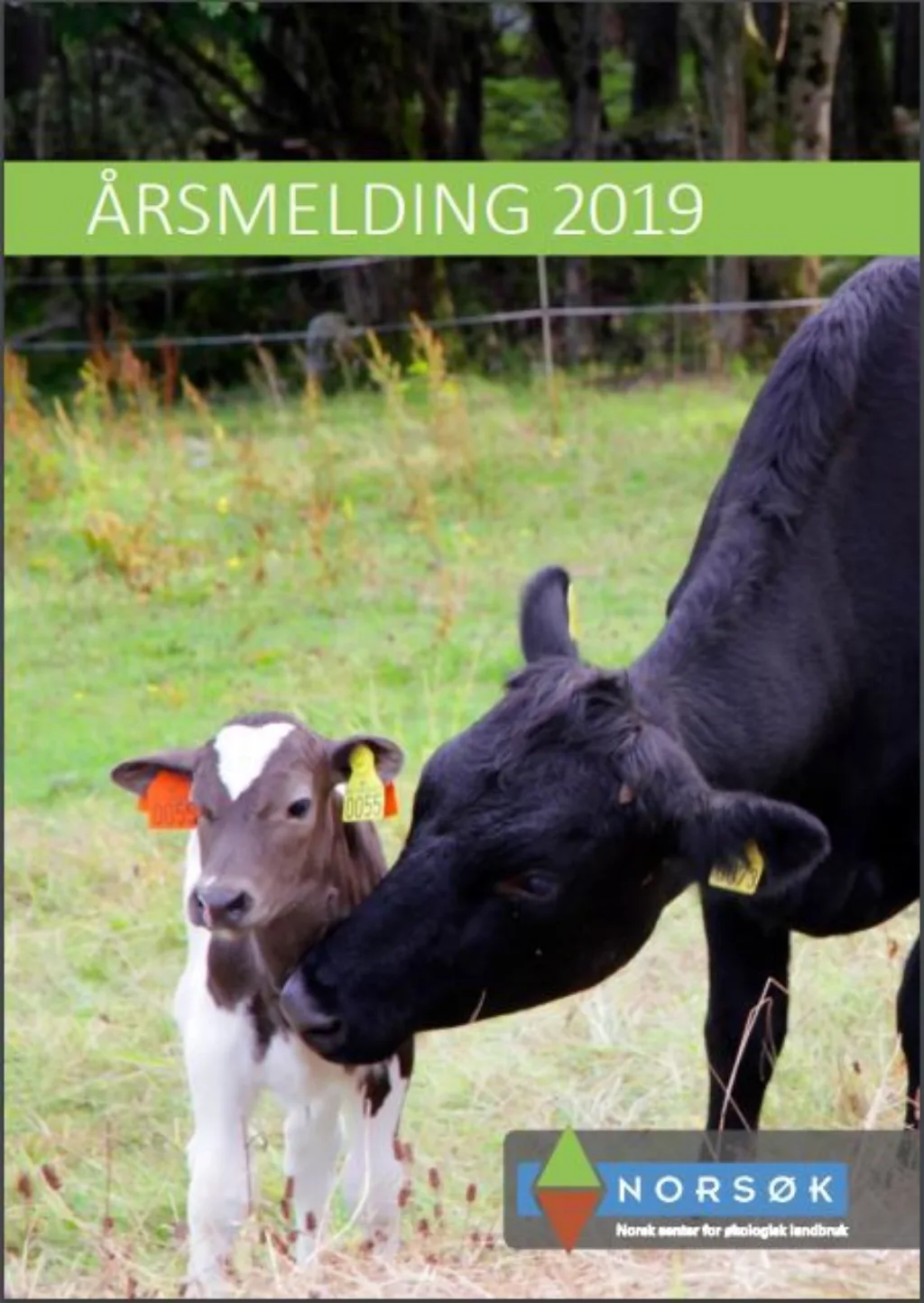 Årsmelding Trykk på bilde og les hele årsmeldingen