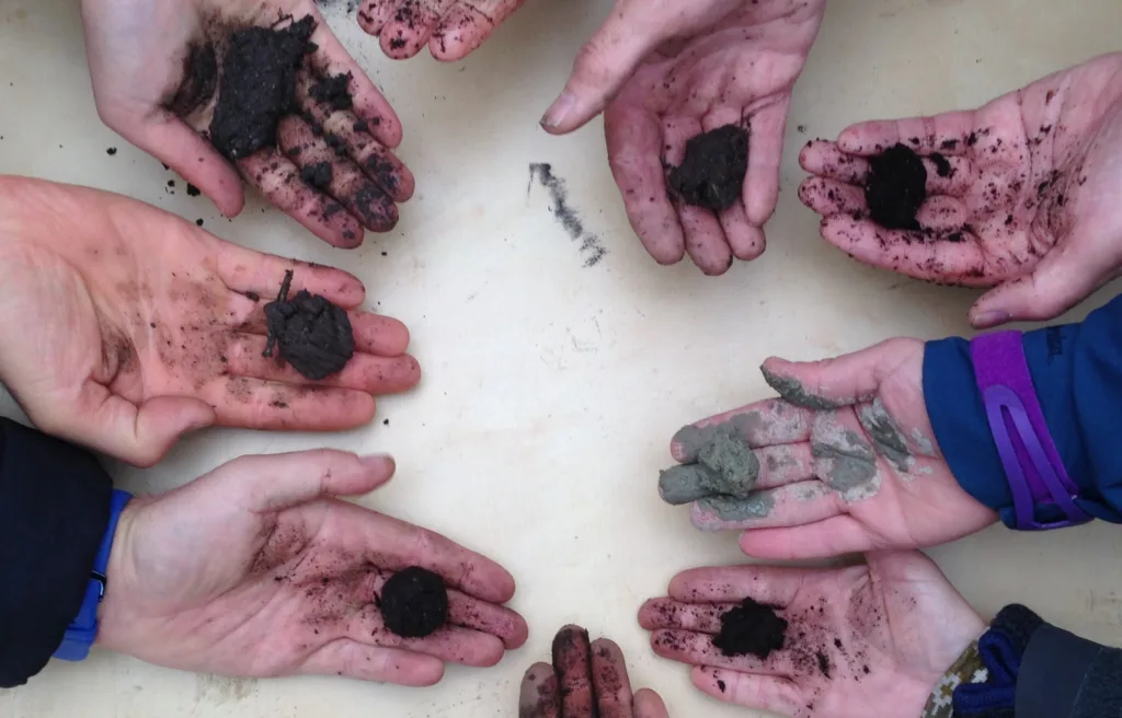 Jord I Hender Rp Utsnitt Naert Til Nettsida Samarbeid mellom nordiske land om jordhelse (Foto: Reidun Pommeresche, NORSØK)