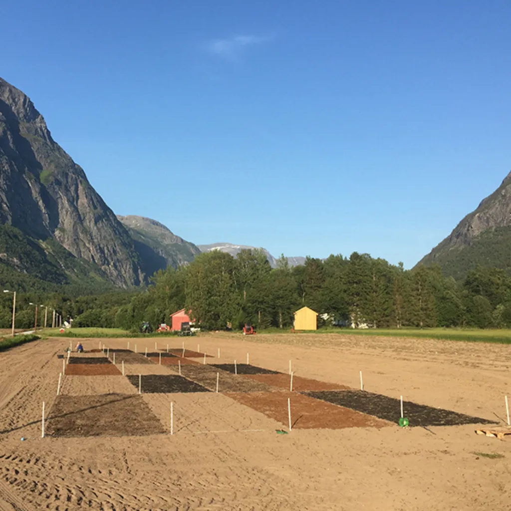 Mermold Sunndalspotet FORSØK: Fra forsøksfelt hos samarbeidspartner Sunndalspotet AS der man tester effekter av å tilføre karbon i jorda. (Foto: Tatiana Rittl)