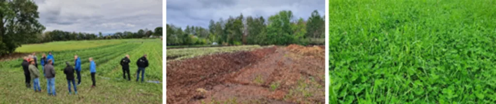 Karbon i jord avslutningsseminar heading Karbon i jord avslutningsseminar heading