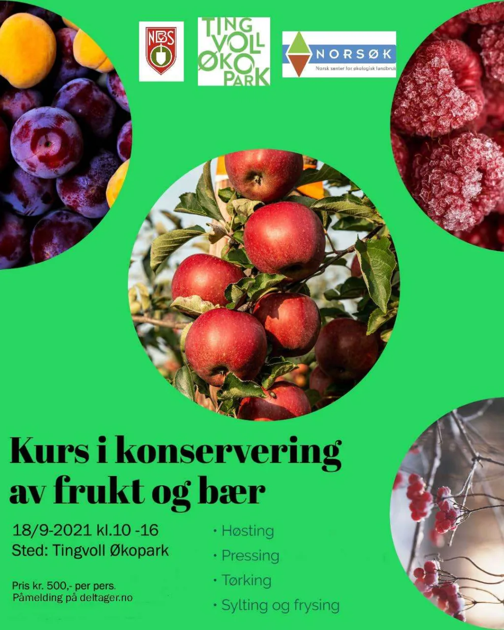 Plakat Konserveringskurs 2021 Plakat Konserveringskurs 2021