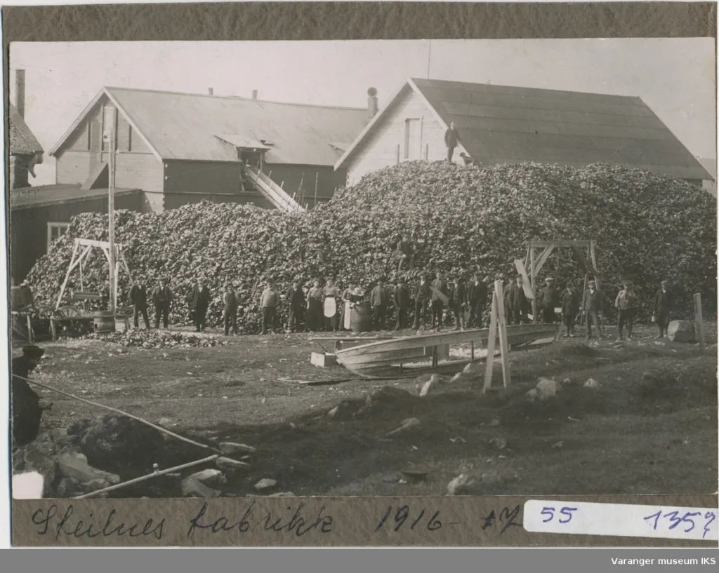 04 Sz KN1 Mm Z Guanofabrikken på Steilneset, ca. 1916 (Foto: Arkivfoto: Vardø Museum)