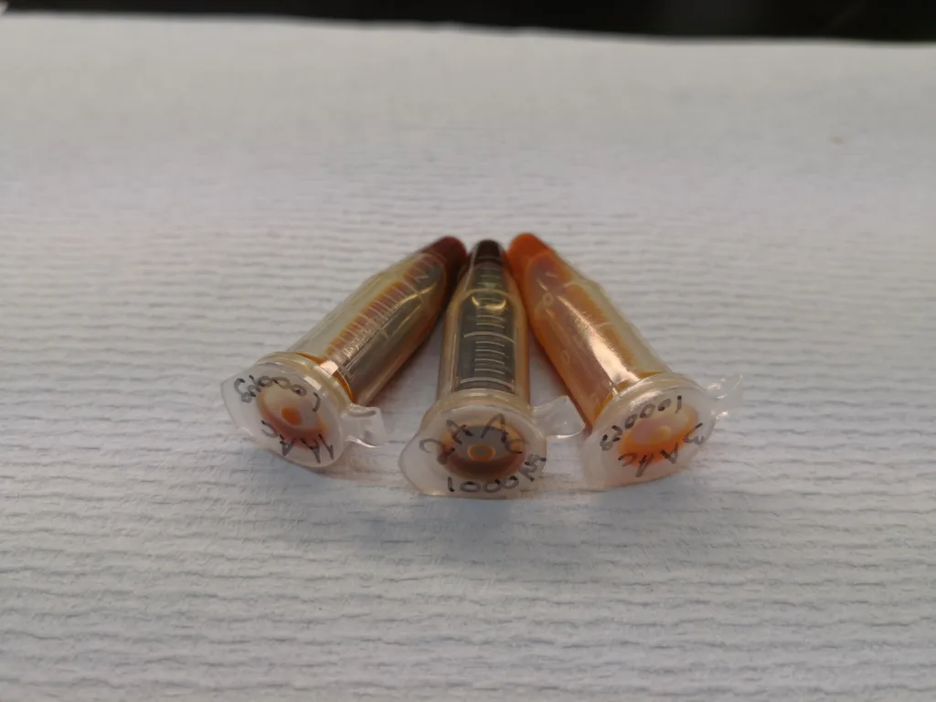 Plantebaserte midler mot parasitter avsnitt 1 Ekstrakter fra furu- og granbark har vist seg å ha effekt mot parasitter vanlig hos sau (Foto: Berit Blomstrand)