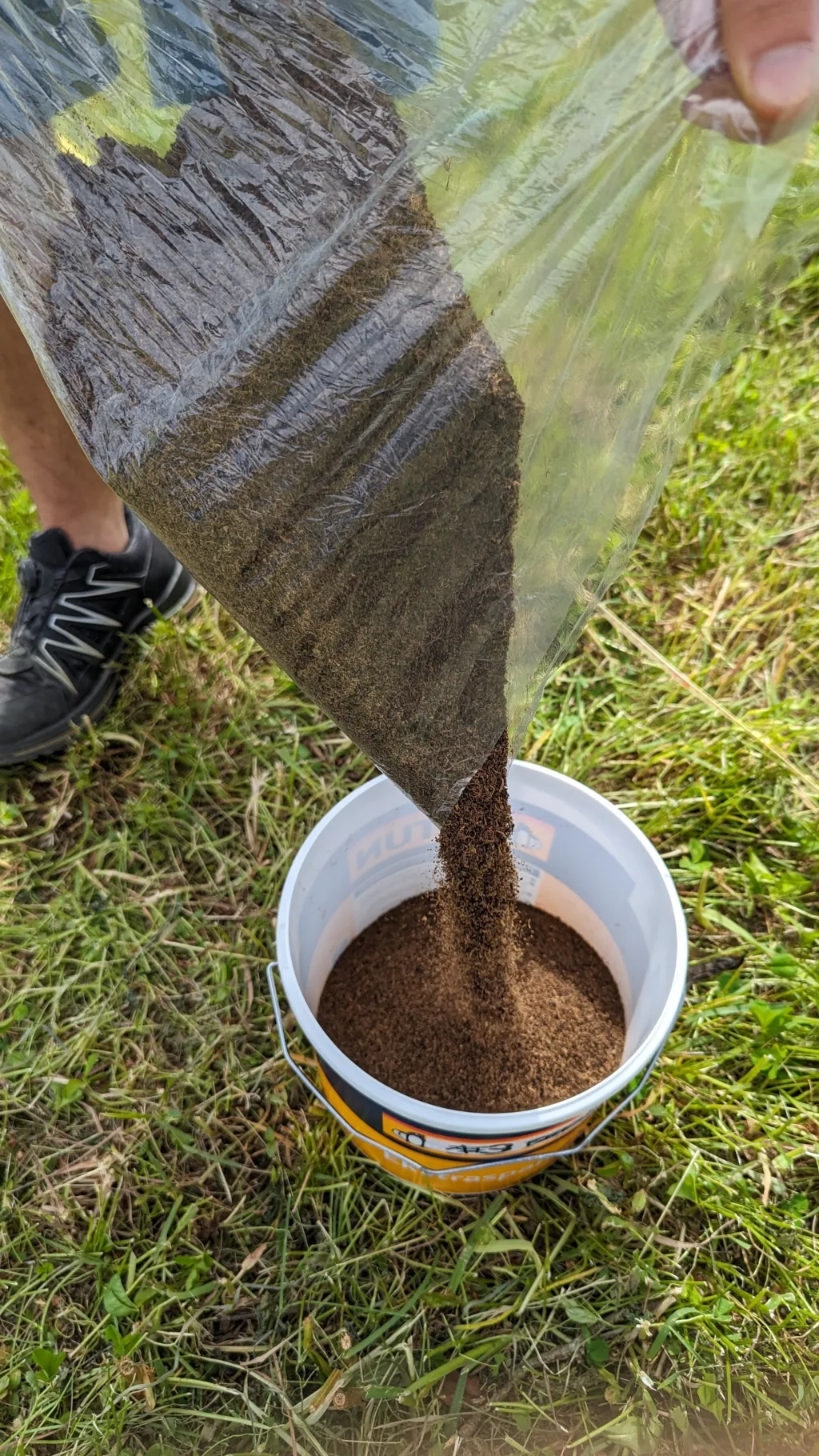 Seasoil artikkel Tørket sagtang klargjøres for feltforsøk (Foto: Anne de Boer, NIBIO)