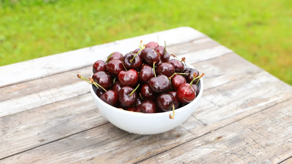 Moreller ozon Moreller ozon