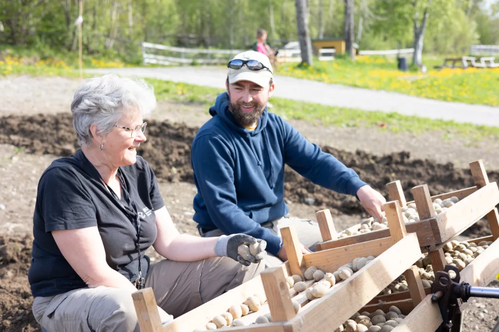 GE3 A4045 2 Gårder med mye eng og god tilgang til husdyrgjødsel har en uutnyttet ressurs for økt økologisk matvekstproduksjon. (Foto: Vegard Botterli)