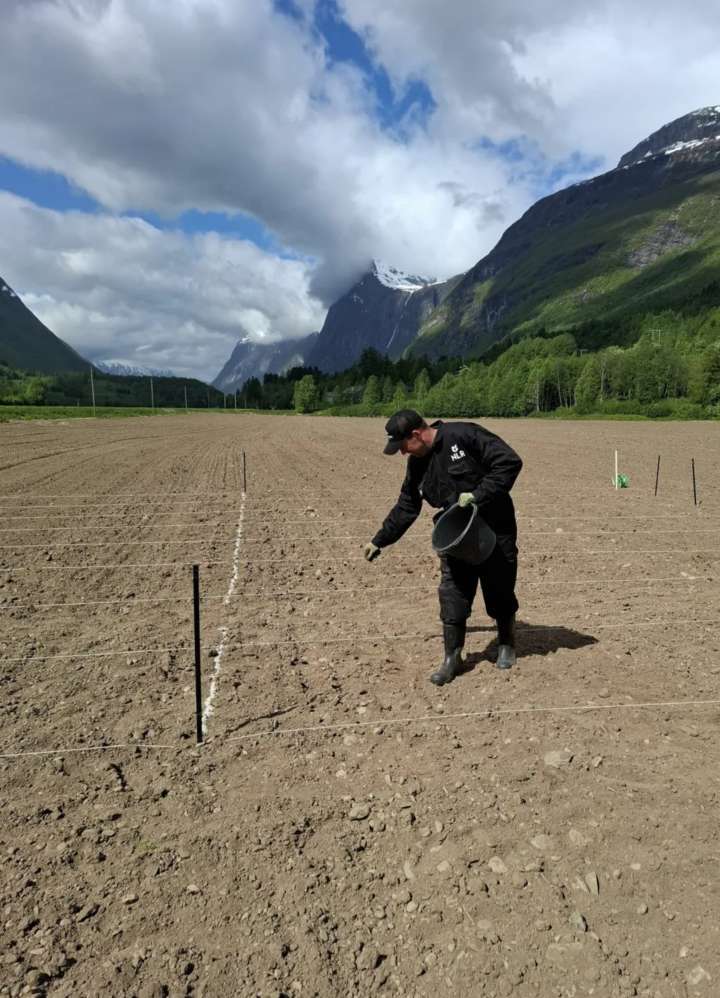 Min Org 2 Careful application of mineral-organic fertiliser on the trial field in Sunndal, 20 May 2025, with Simen Myrset Reitan as crew. (Photo: Frode Grønmyr)