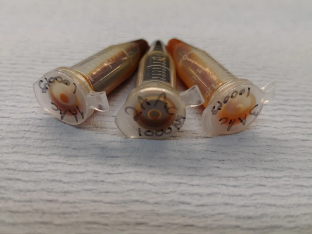 IMG 20180322 184606 Barkekstrakter fra norske nåletrær har vist seg å ha effekt mot forskjellige parasitter hos drøvtyggere. (Foto: Berit Blomstrand)