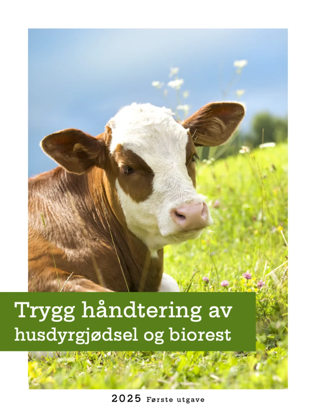 Veileder trygg håndtering av biorest TRYKK PÅ BILDET OG LES ELLER LAST NED VEILEDEREN