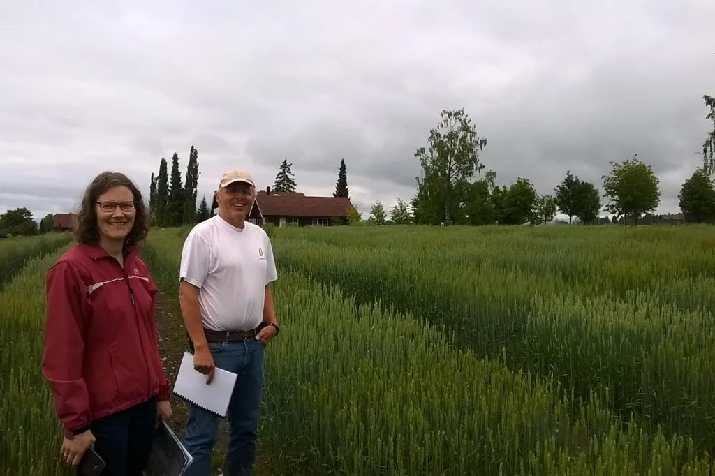 Wp 20160712 004 Foto Akl I sommer har forskerne prøvd å finne kornsorter med egenskaper som gjør dem godt egnet til økologisk dyrking og håndverksbakst. Randi B Frøseth kornforsker ved NIBIO og Jon Arne Dieseth fra Graminor som er ekspert på hveteforedling. (Foto: Anne Kristin Løes, NORSØK)