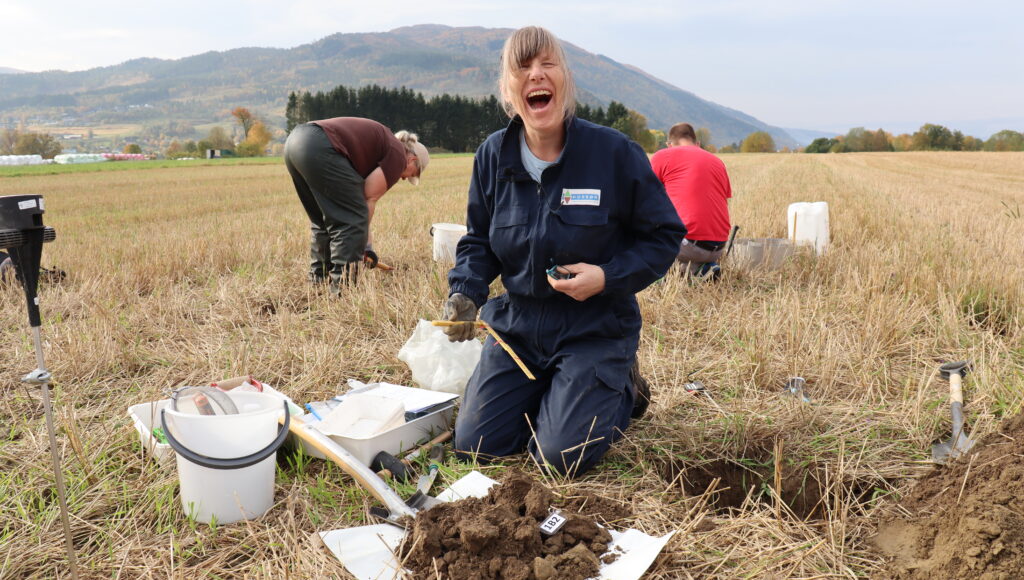 IMG 2120 Så glad blir en jordforsker når hun endelig får lov til å komme ut av kontoret og grave i jorda. Her ser vi seniorforsker Sissel Hansen sjekke jordhelsa i en kornåker i Surnadal i Møre og Romsdal. Foto: Vegard Botterli