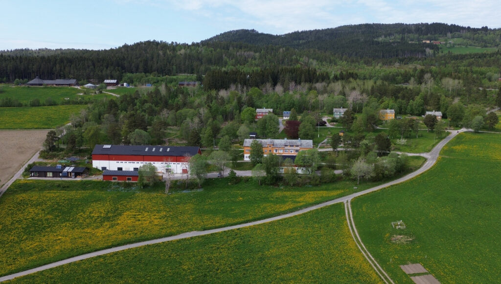 Tingvoll gard Forskerne har Tingvoll Gard i Møre og Romsdal som base. I tillegg til å være et forskningsinstitutt er det også et aktivt gårdsbruk. (Foto: Vegard Botterli)
