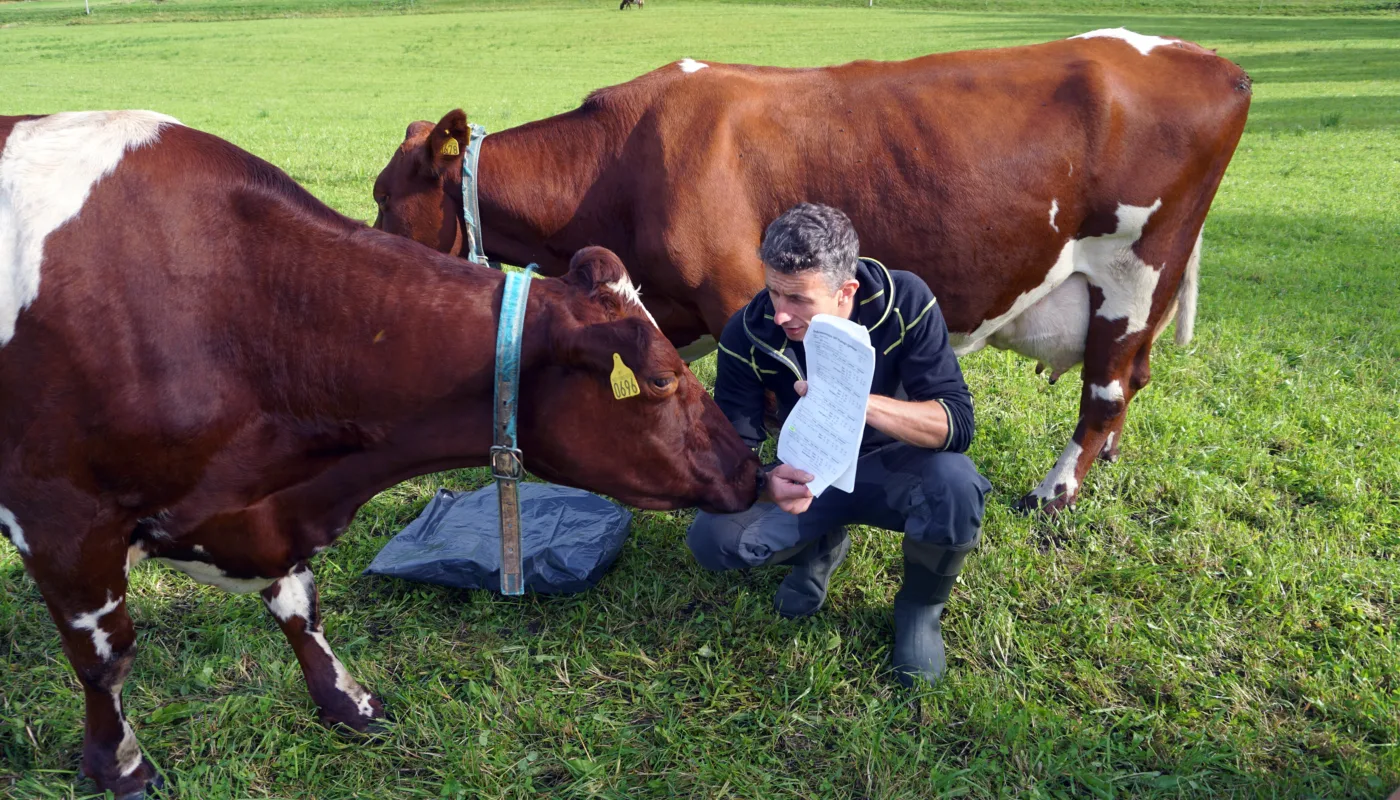 Rapport Ku Foto Sissel Rapport Ku Foto Sissel (Foto: Sissel Hansen)