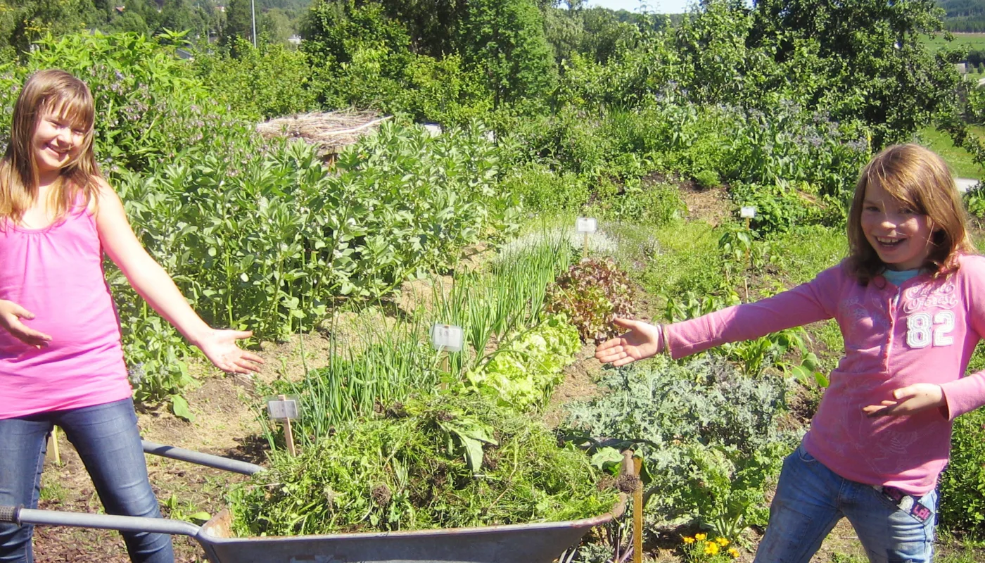 Skolehage 1 Velkommen til å bli skolehageinspirert! (Foto: Kirsty McKinnon)
