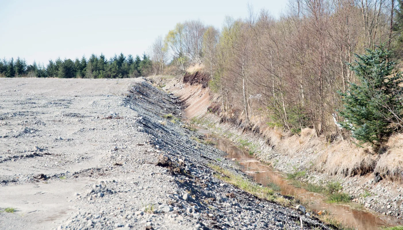 Dsc 3529 Omgraving av myr (Foto: Sissel Hansen)