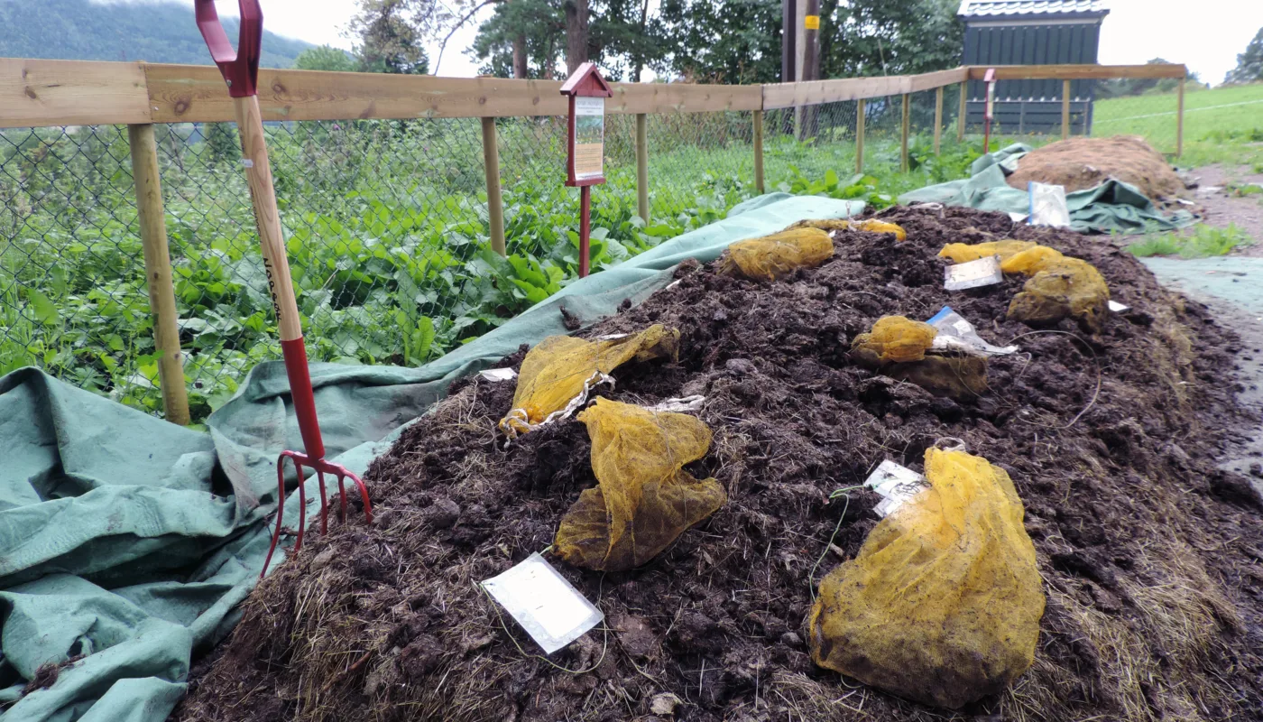 Hestemøkk Hestemøkk (Foto: Reidun Pommeresche)