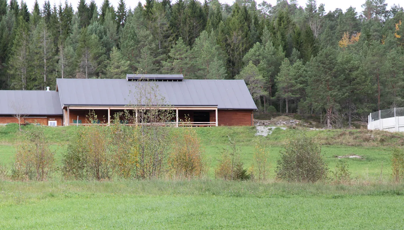 Tingvoll Gard Fjøset på Tingvoll gard (Foto: Anita Land)