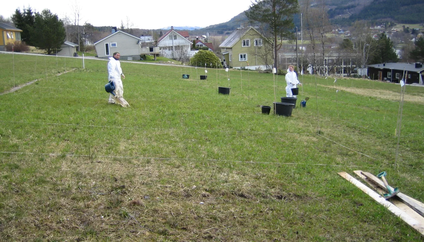 Img 5771 Soileffects Img 5771 Soileffects