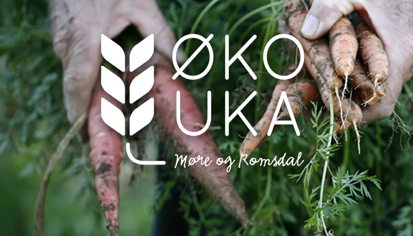 Header Moreog Romsdal 1 Header Moreog Romsdal 1