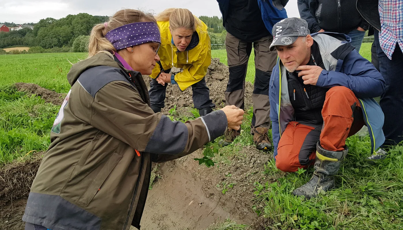 Reidun Jordlappen Foto Maud Grøtta Forsker Reidun Pommeresche opplever at deltakerene på et Jordlappkursa er svært interesserte. (Foto: Maud Grøtta)