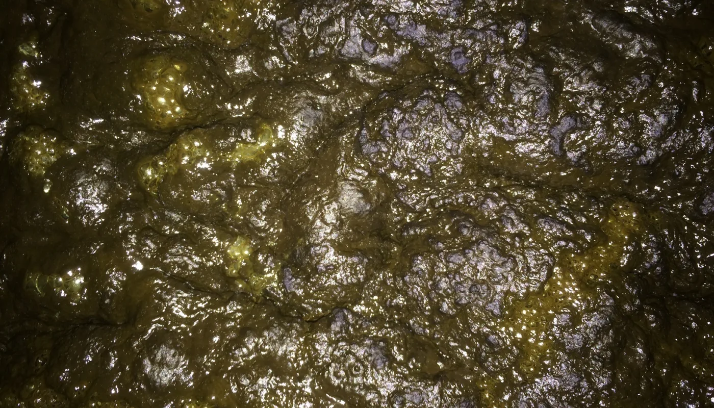 Bokashi Gjødsel Bokashi Gjødsel (Foto: Joshua Cabell)