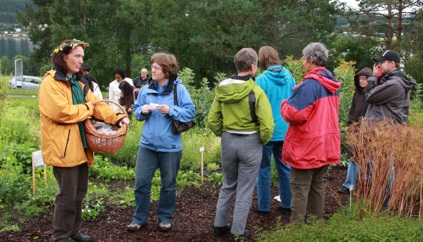Foto Anita Land Bioforsk 1 Of 1 Kjøkkenhagedag i Stjernehagen på Tingvollgard (Photo: Anita Land)