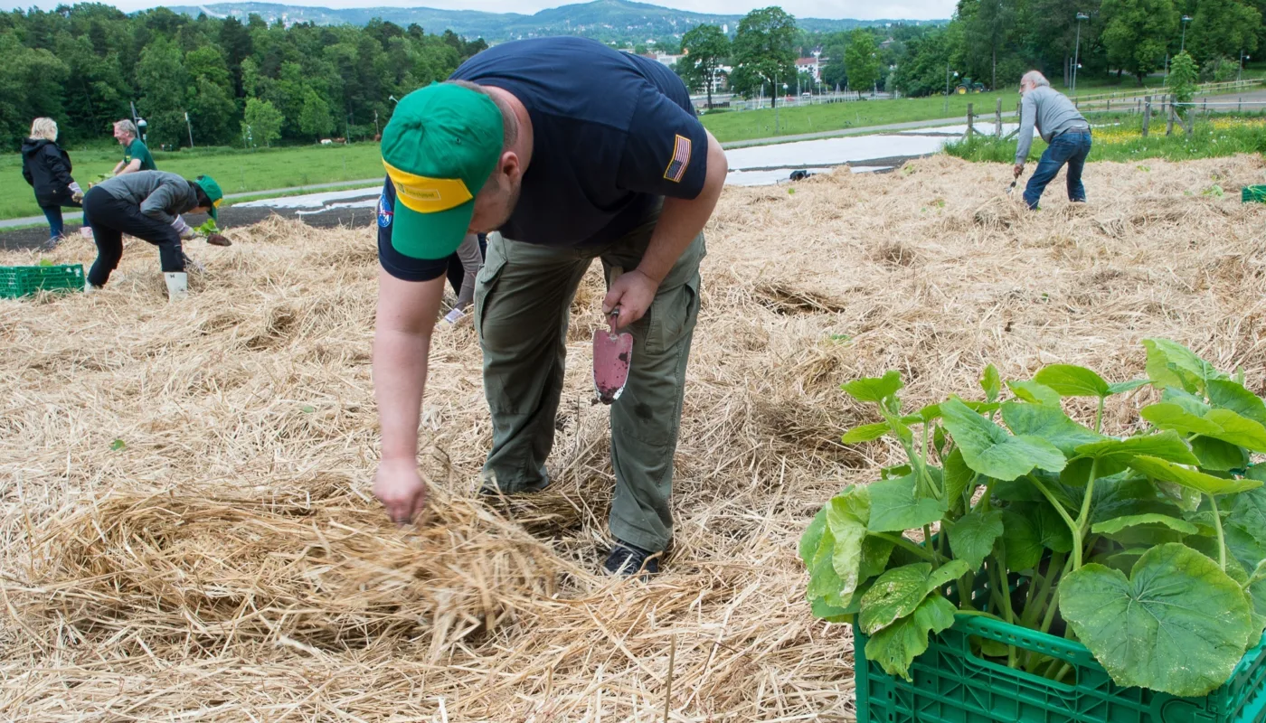 Prosjektbilde Urban Farms Foto: Debio (Foto: Debio)