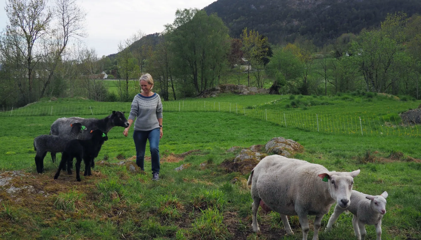 Kjersti Berge 1 Foto Ronja Svenning Berge Kjersti Berge er fagkoordinator økologisk i Norsk Landbruksrådgiving (NLR) og leder av hovedkomiteen for Øko 2020. (Foto: Ronja Svenning Berge)