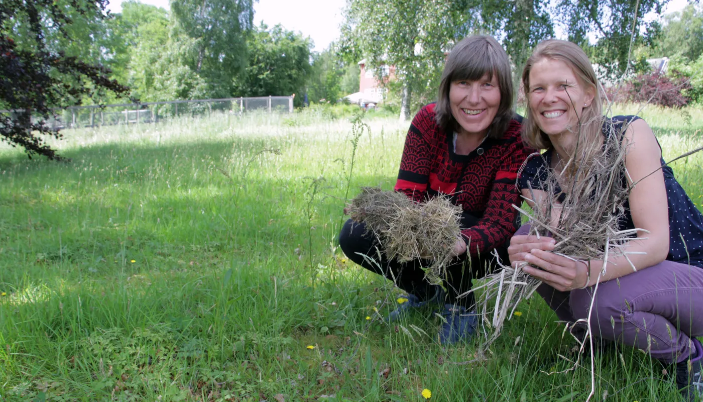 Forskerene Sissel Og Tatiana Forskerne Sissel Hansen og Tatiana Rittl vil gjennom prosjektet ResidueGas se på en ny metodikk får å estimere N2O utslipp fra jord som har blitt tilført planterester. (Foto: Anita Land)