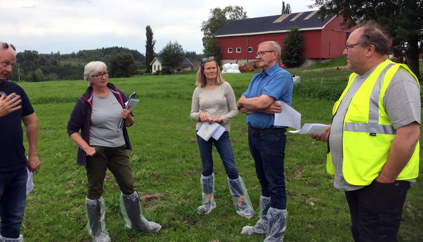 Potetgivmøte I Levanger Fra venstre Per Møllerhagen, NIBIO Apelsvoll- Olaug Bach NLR Trøndelag- Gunhild Halvorsen FMLA Trøndelag-Jostein Trøite, kårkall og leder av Økologisk Norge, og Elling Munkeby, potetdyrker i Levanger (Foto: Anne- Kristin Løes)