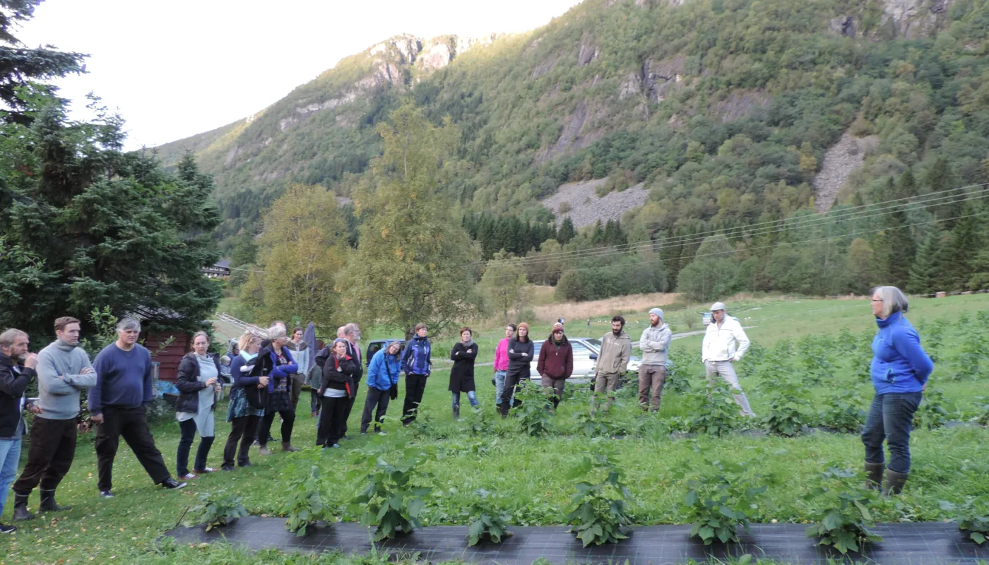 Spiren Andelslandbruk Foto Kmc Dscn6417 Fra et tidligere kurs (Foto: Kirsty McKinnon)