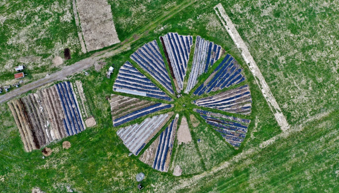 Ørsta Andelsgard Åker mai 2019 (Foto: Martin Hauge-Nielsen)