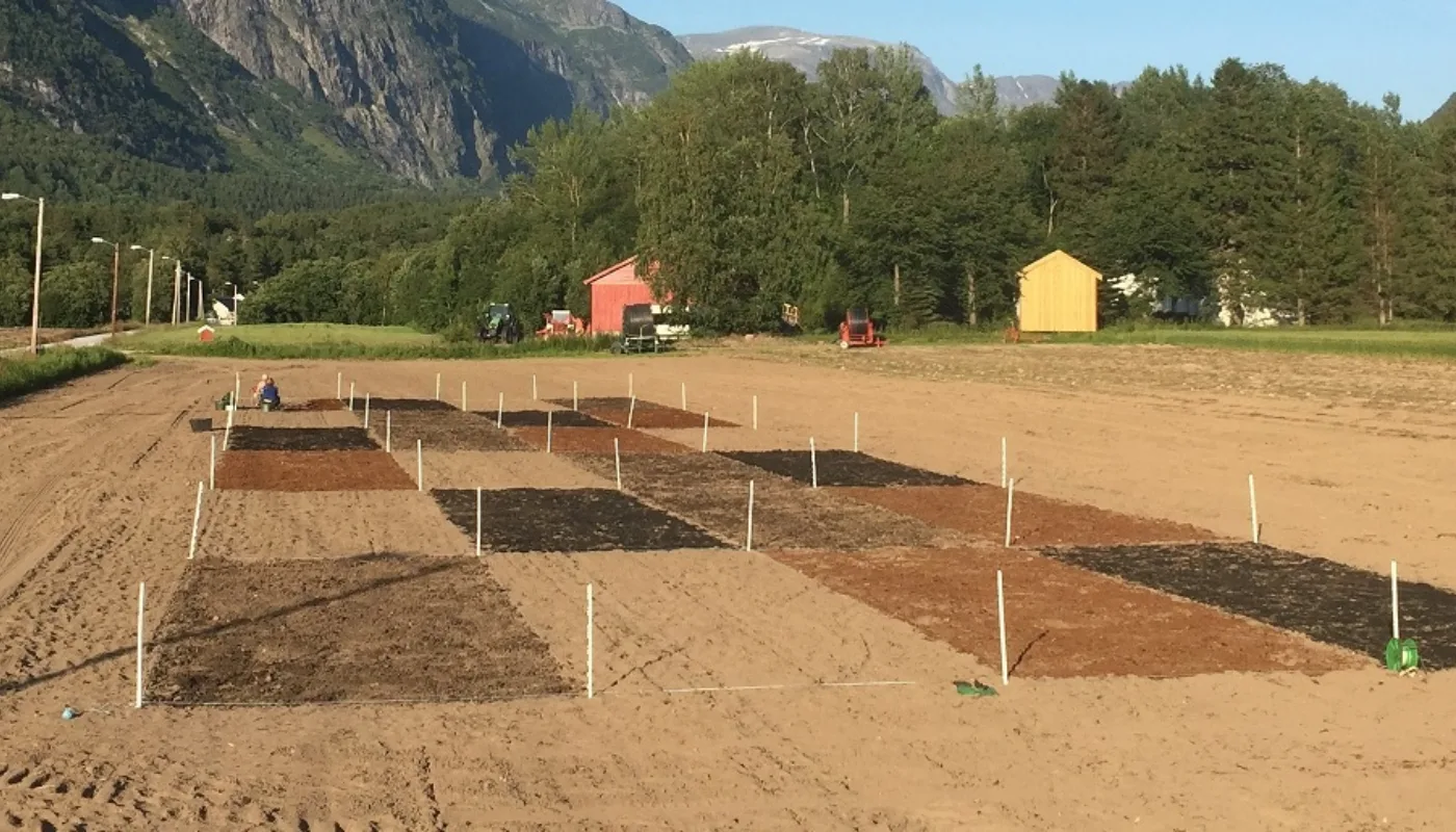Forsøksfelt På Grøa Overview of the field experiment. Treatments in the front from left to right: solid digestate, control (none), horse manure and biochar mixed with liquid digestate. (Foto: Tatiana Rittl)
