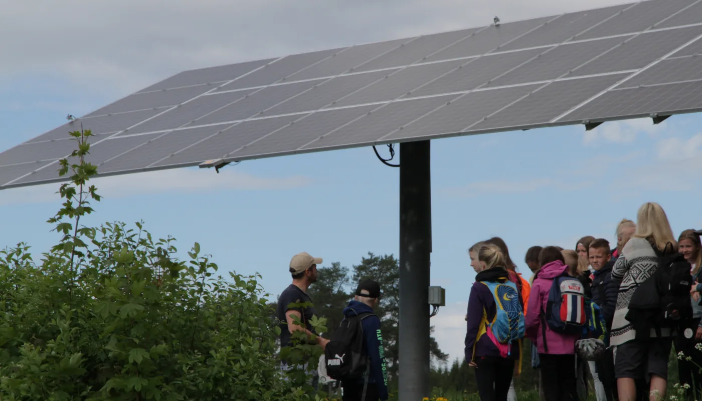 Solcelle Tracker Tingvoll Foto Anita Land Solcelle Tracker Tingvoll Foto Anita Land (Foto: Anita Land)