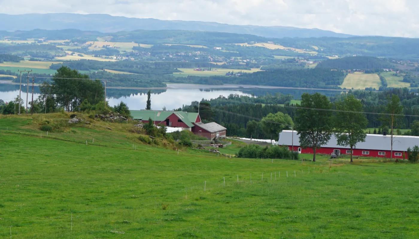 Heading Karbon i jord Karbonlagring og matproduksjon hand i hand. Det prøves det ut en modell som stimulerer til fangst og lagring av karbon i jord i Trøndelag. (Foto: Sissel Hansen)